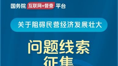 欧美摘花破处国务院“互联网+督查”平台公开征集阻碍民营经济发展壮大问题线索